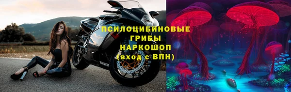 a pvp Аркадак