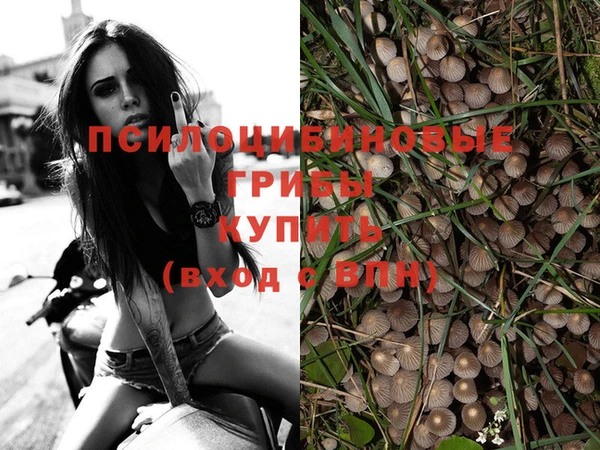 a pvp Аркадак