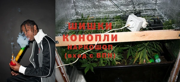 a pvp Аркадак