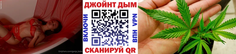 Каннабис OG Kush Великие Луки